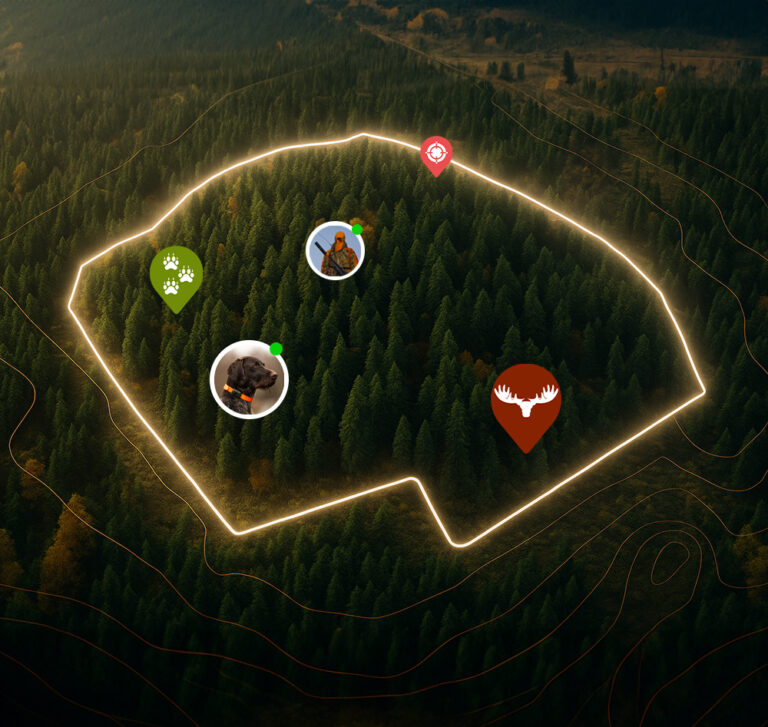 Illustration of a hunting ground in the minifinder hunter app