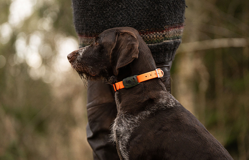 MiniFinder Vexo GPS tracker in M90 camouflage design displayed for hunters
