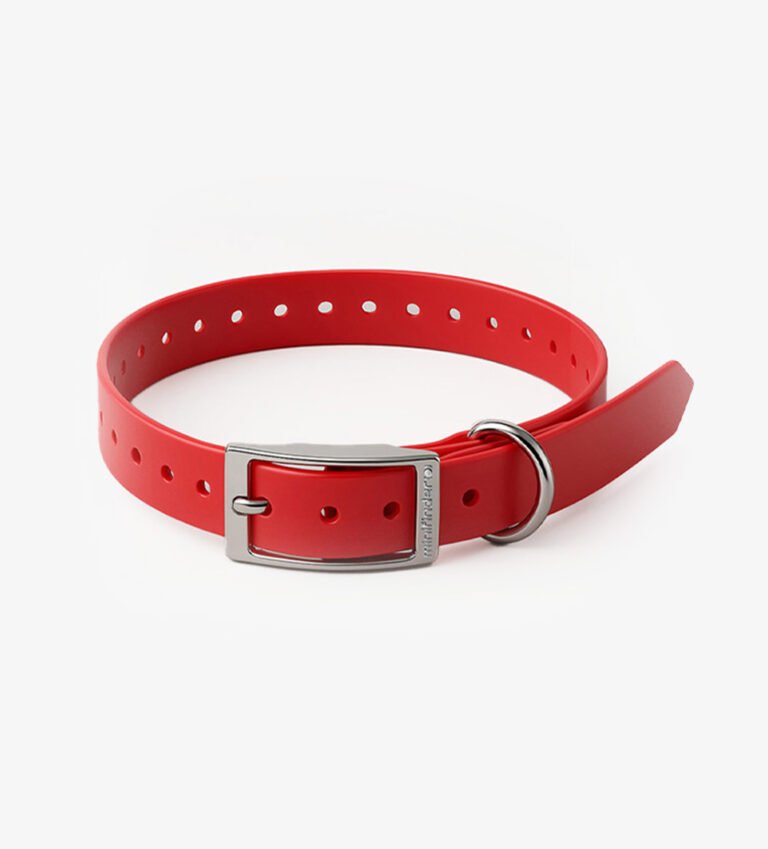 MiniFinder Dog Collar with adjustable strap and durable buckle, designed for secure attachment of MiniFinder dog tracker.