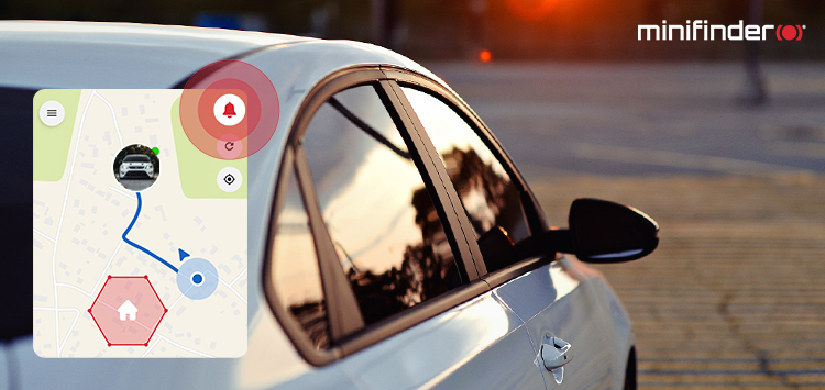 Checking a car’s status online to verify if it is stolen