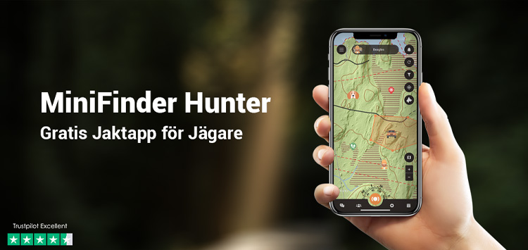 Hunters using the free Hunter app to track their dog and work together effectively in the forest.
