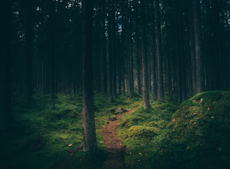 Using navigation tools to avoid getting lost