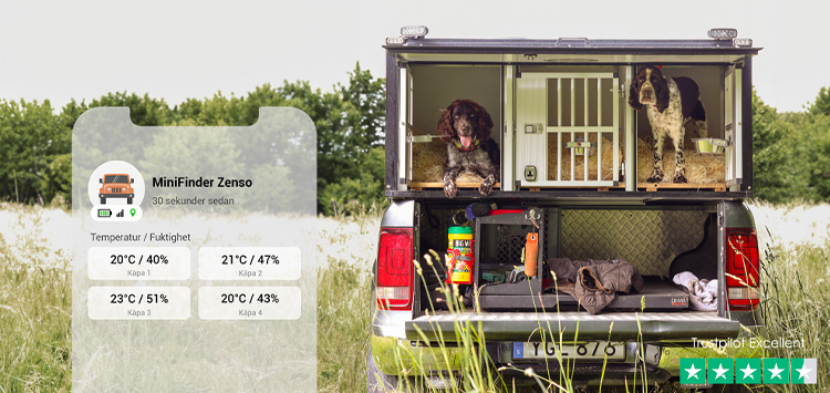 Dogs shown with optimal temperature and comfort using the MiniFinder Zenso safety solution