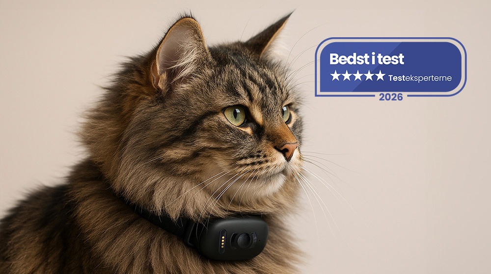 Cat wearing MiniFinder Atto GPS collar, labeled “Best in Test 2026”