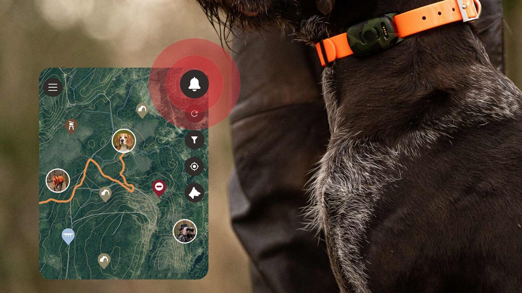 Jakthund med GPS-pejl och realtidspositionering under jakt